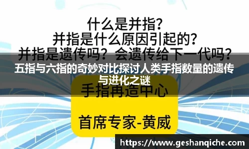 五指与六指的奇妙对比探讨人类手指数量的遗传与进化之谜